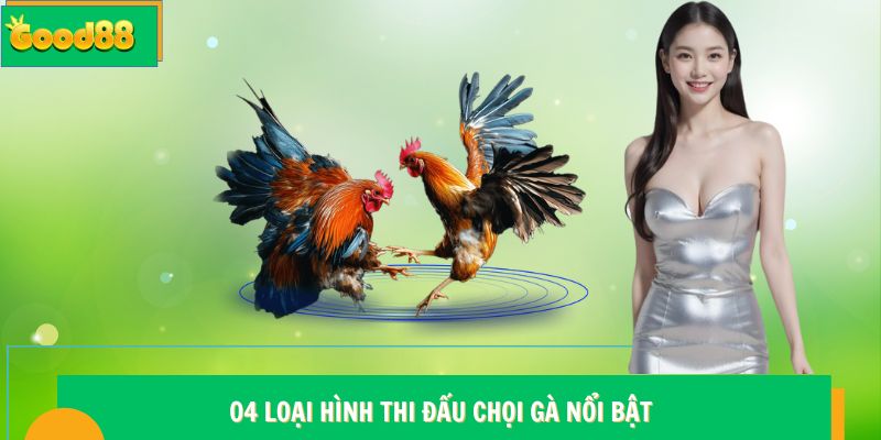 04 loại hình thi đấu chọi gà nổi bật
