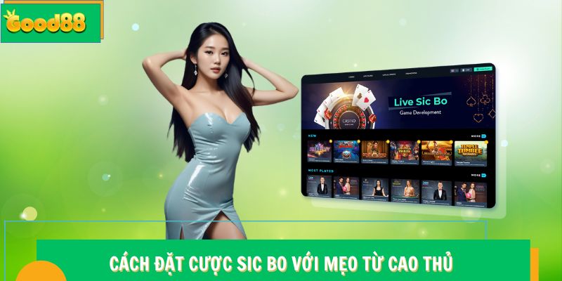 Cách đặt cược Sic Bo với mẹo từ cao thủ